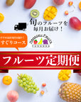 フルーツ定期便 頒布会