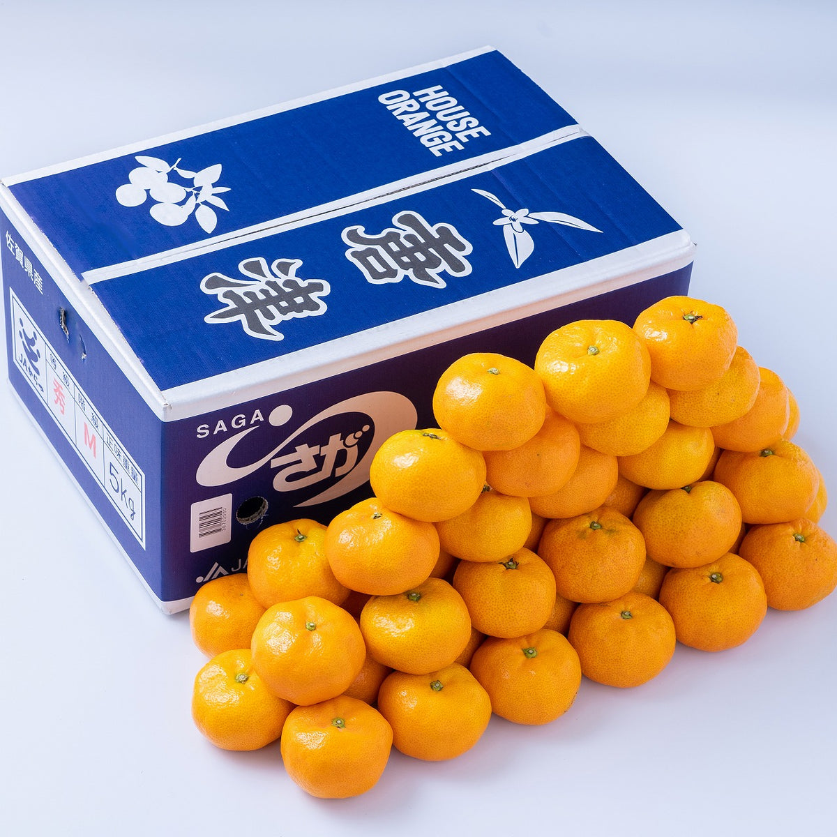 でんすけ　佐賀県唐津産ハウスみかん4S10kg 佐賀県産(JA唐津) ハウスみかん(お届け期間：6/25〜8/15)【夏の