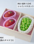 【予約販売】旬のフルーツセット N01