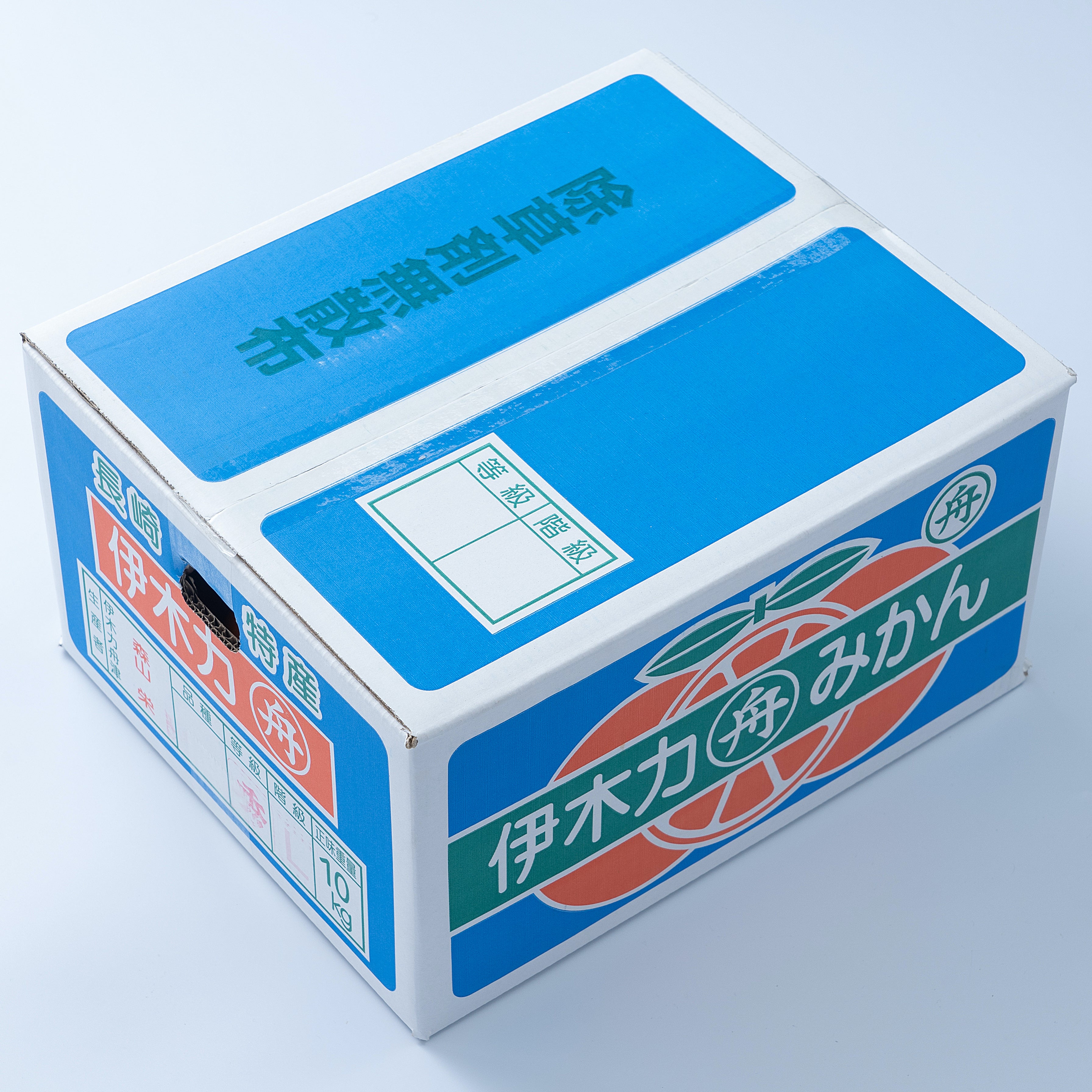伊木力みかん みかん