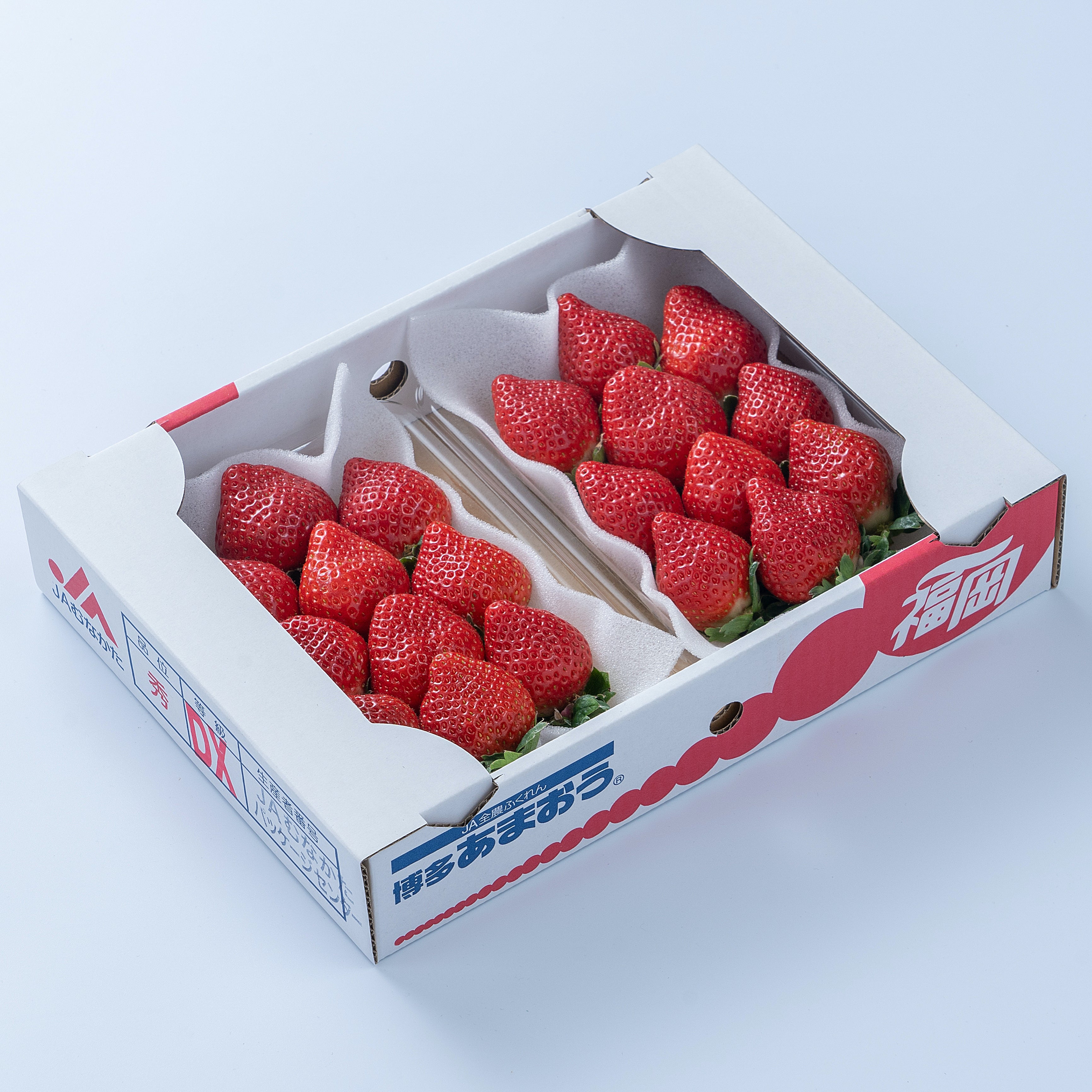 いちご あまおう ギフト