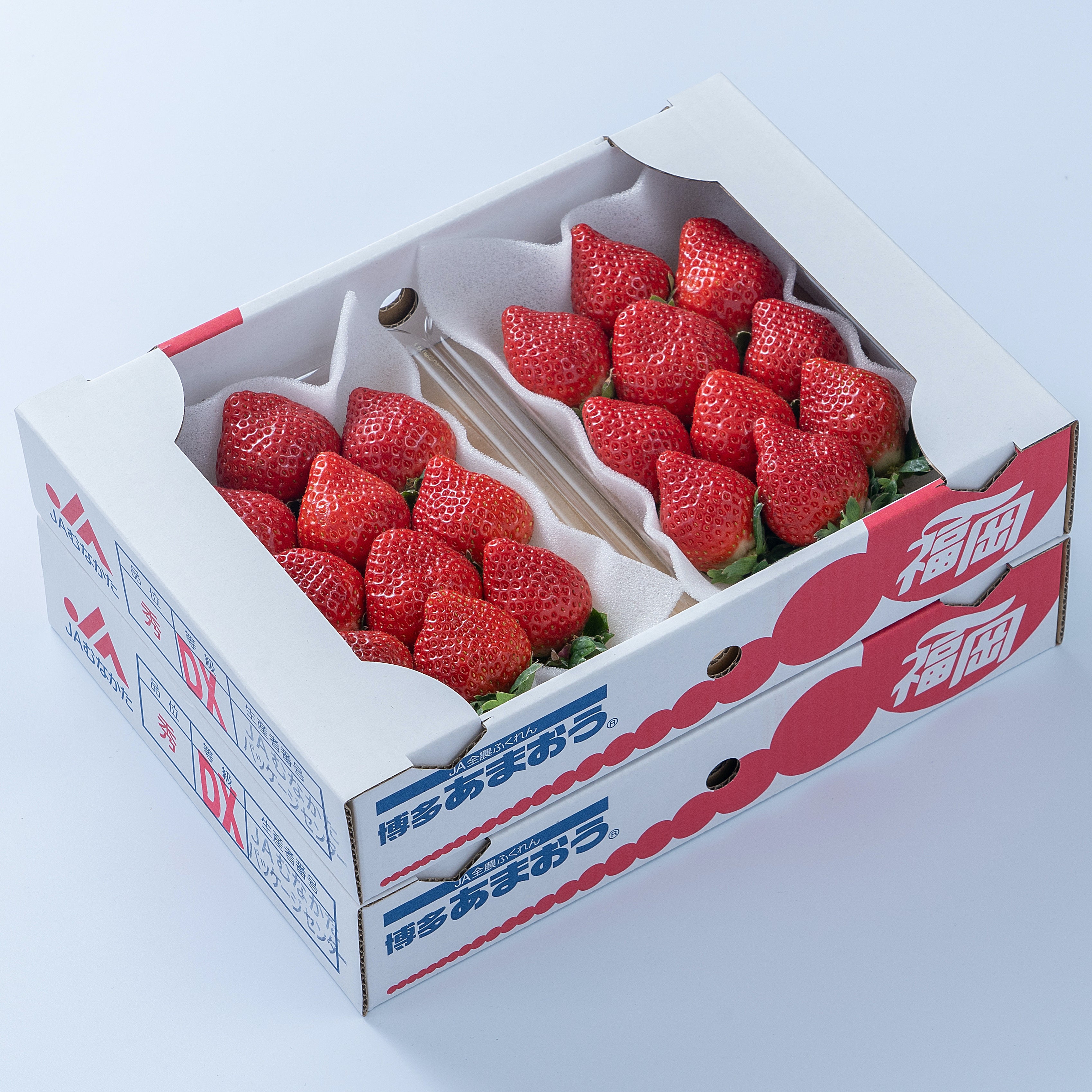 いちご あまおう ギフト