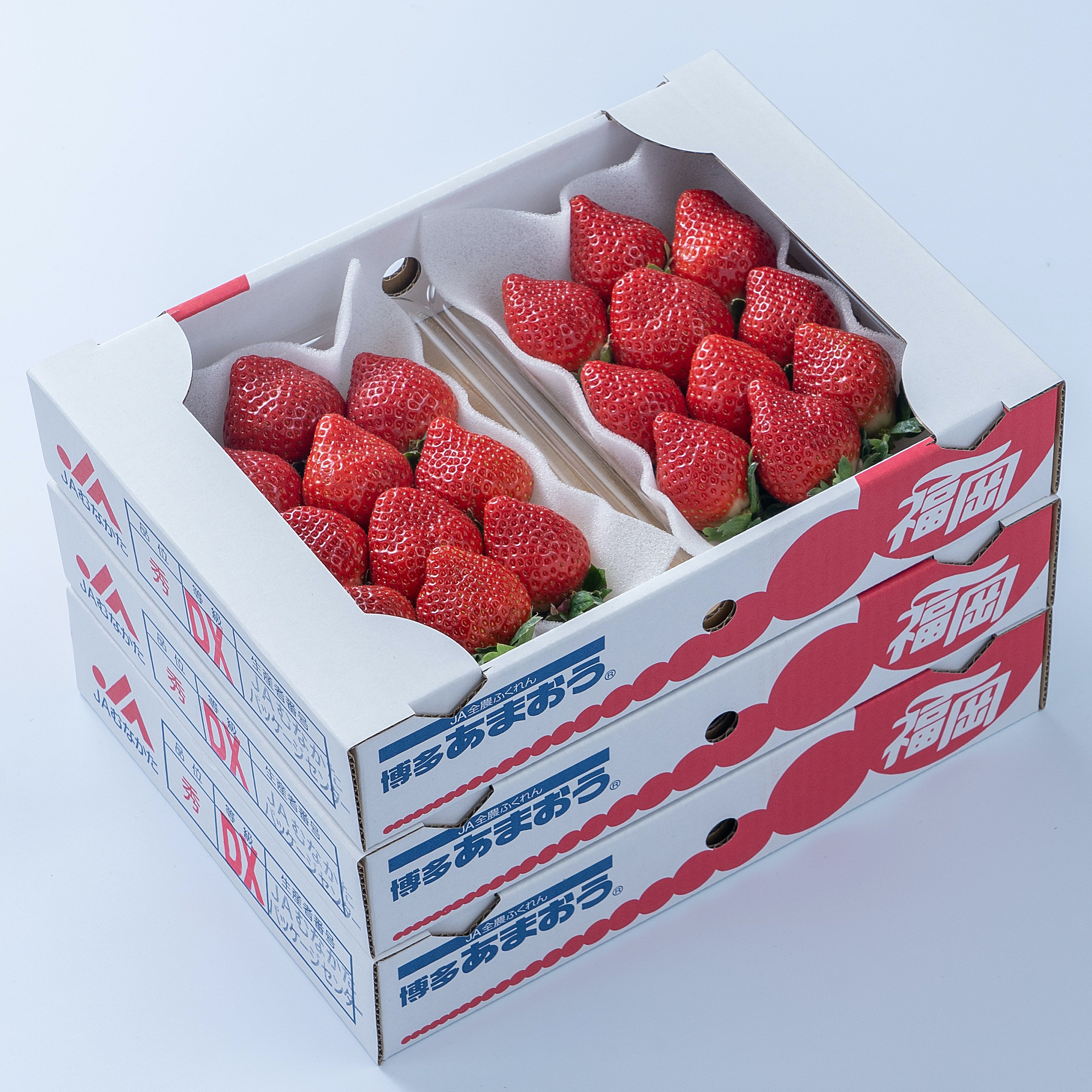 いちご あまおう ギフト