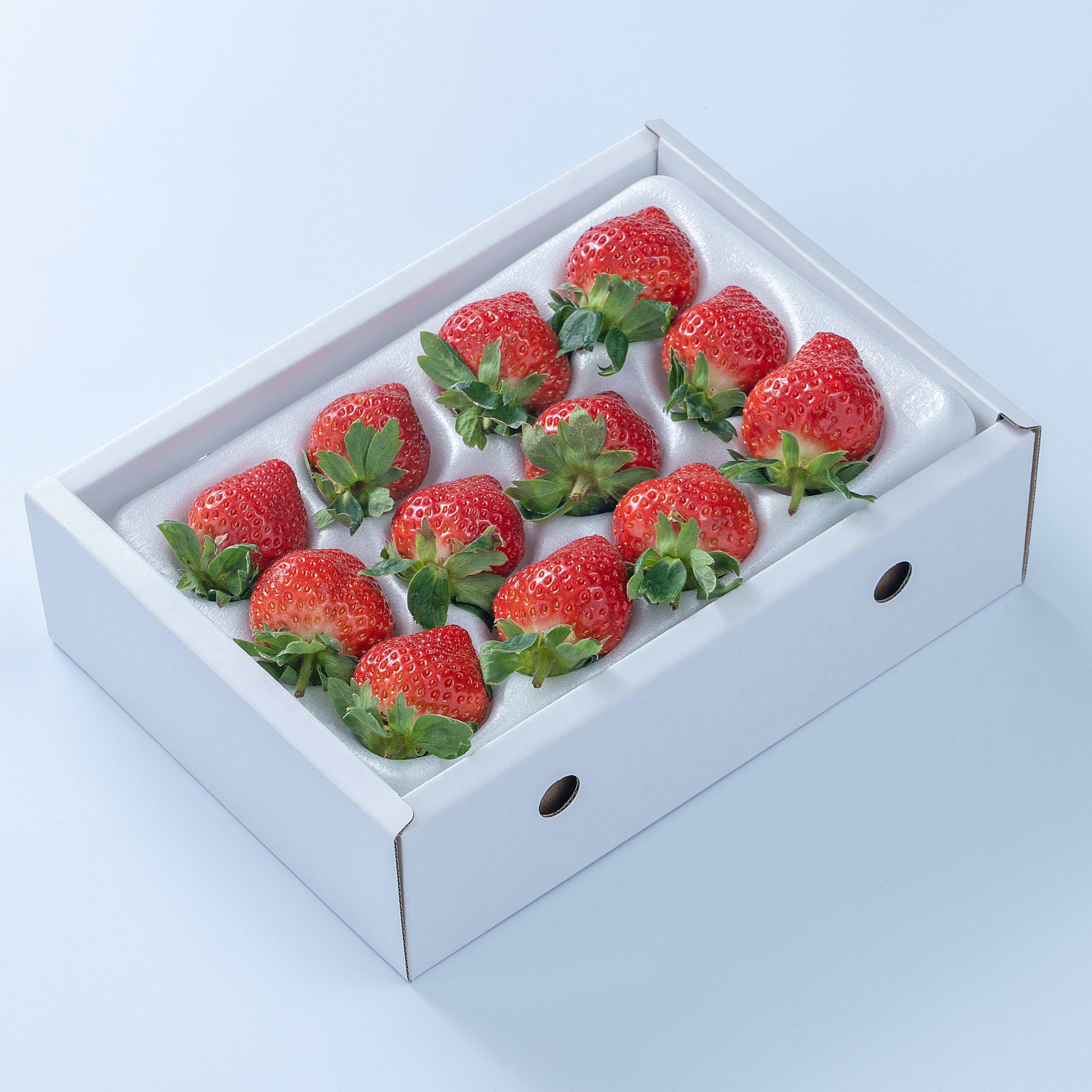 いちご あまおう ギフト