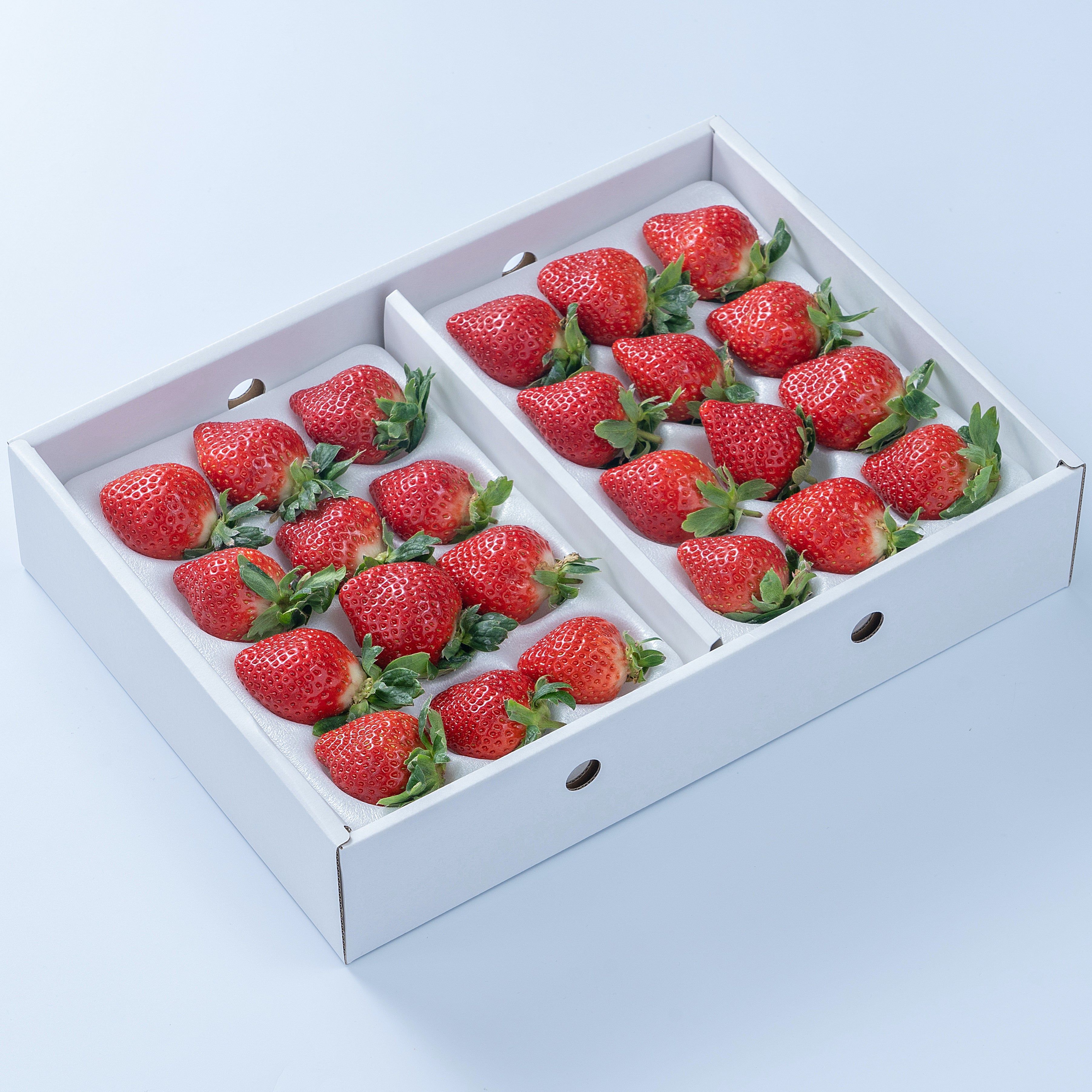 いちご あまおう ギフト