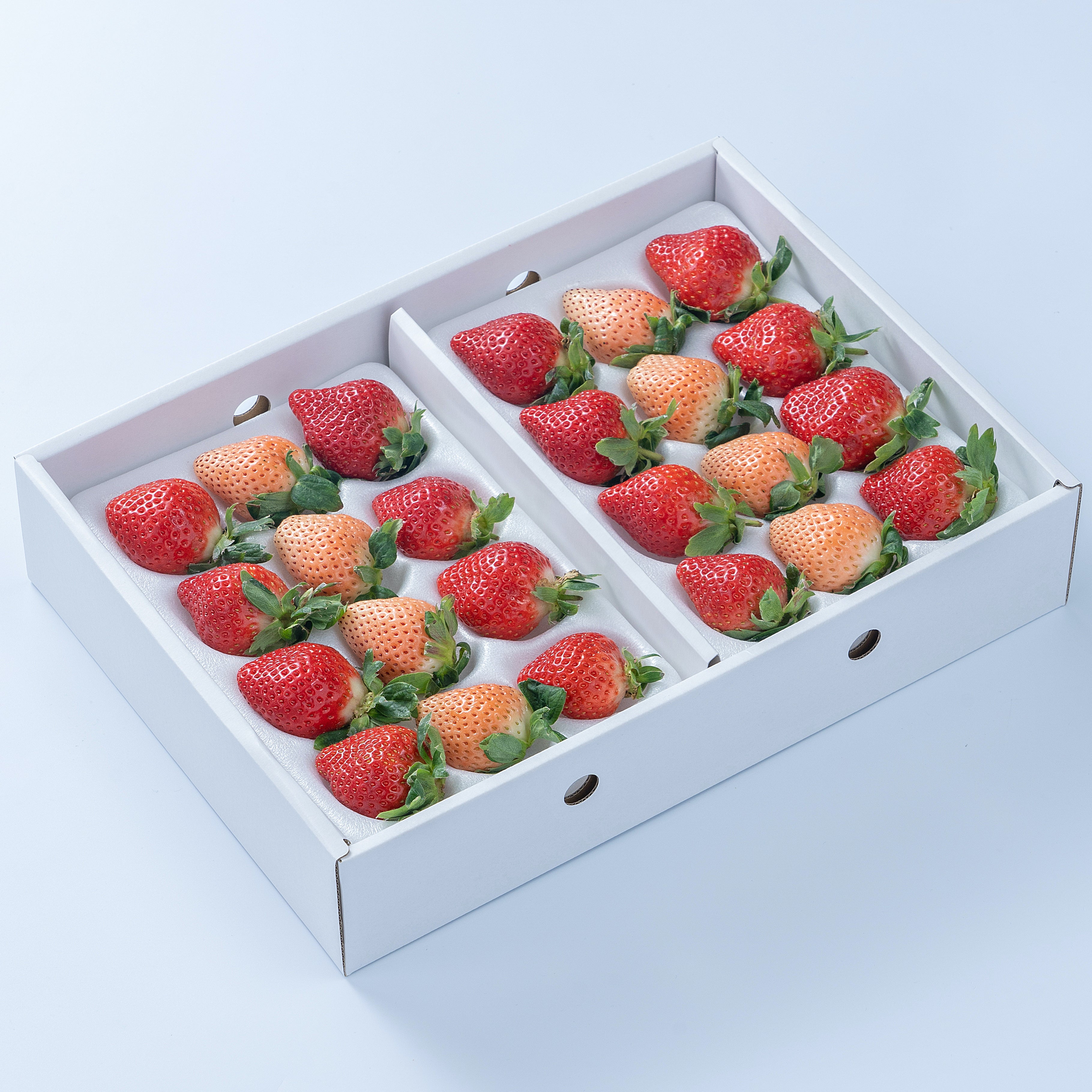 福岡・佐賀産 紅白いちご （あまおう＆白いちご） - フルーツ・果物
