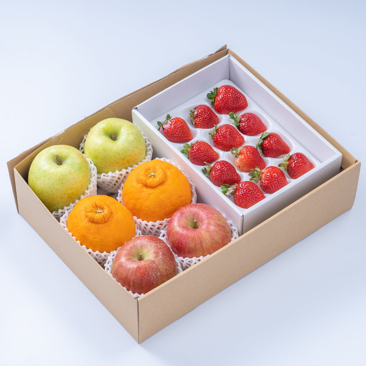 f16_1200x1200.jpg?v=1642831898