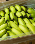 フィリピン産　バナナ