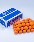 【予約販売】福岡県糸島産みかん　紅まる君