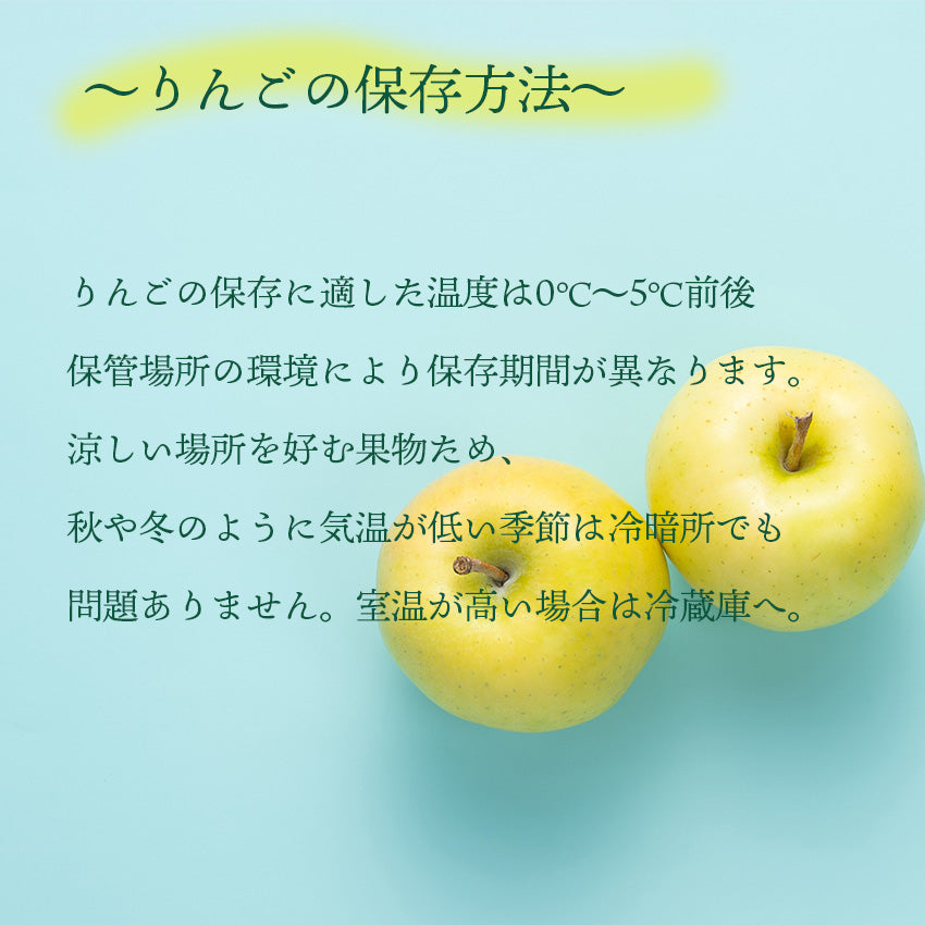 旬の青りんご – 南国フルーツオンラインストア