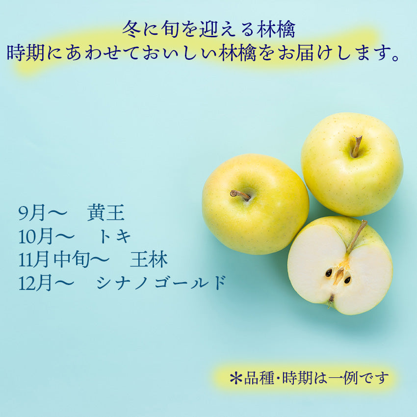 旬の青りんご – 南国フルーツオンラインストア