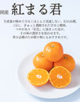 【予約販売】旬のフルーツセット F29