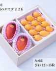 旬のフルーツセット H09(ギフト箱)