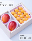 旬のフルーツセット H10(ギフト箱)