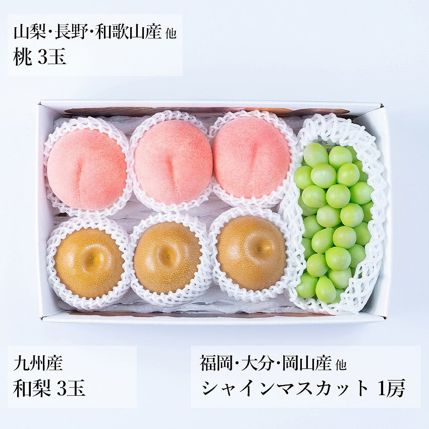 【予約販売】旬のフルーツセット N20