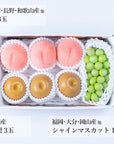 【予約販売】旬のフルーツセット N20