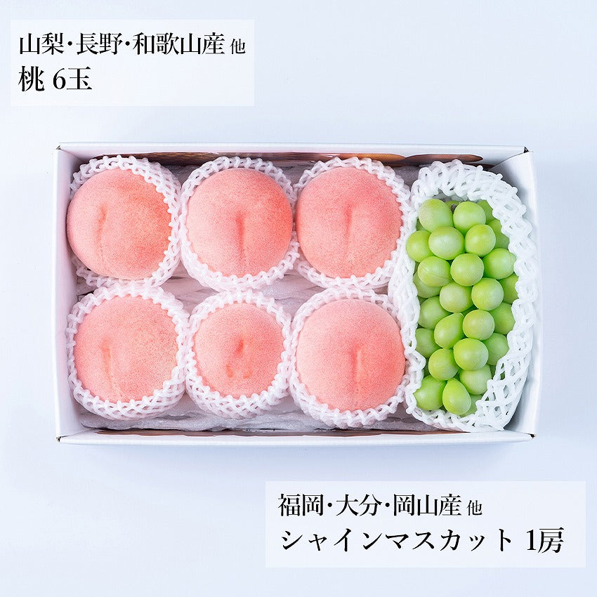 【予約販売】旬のフルーツセット N22