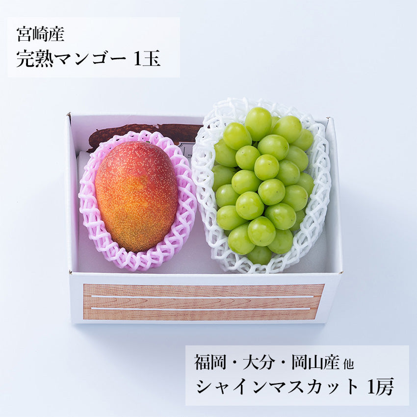 【予約販売】旬のフルーツセット N33