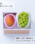 【予約販売】旬のフルーツセット N33