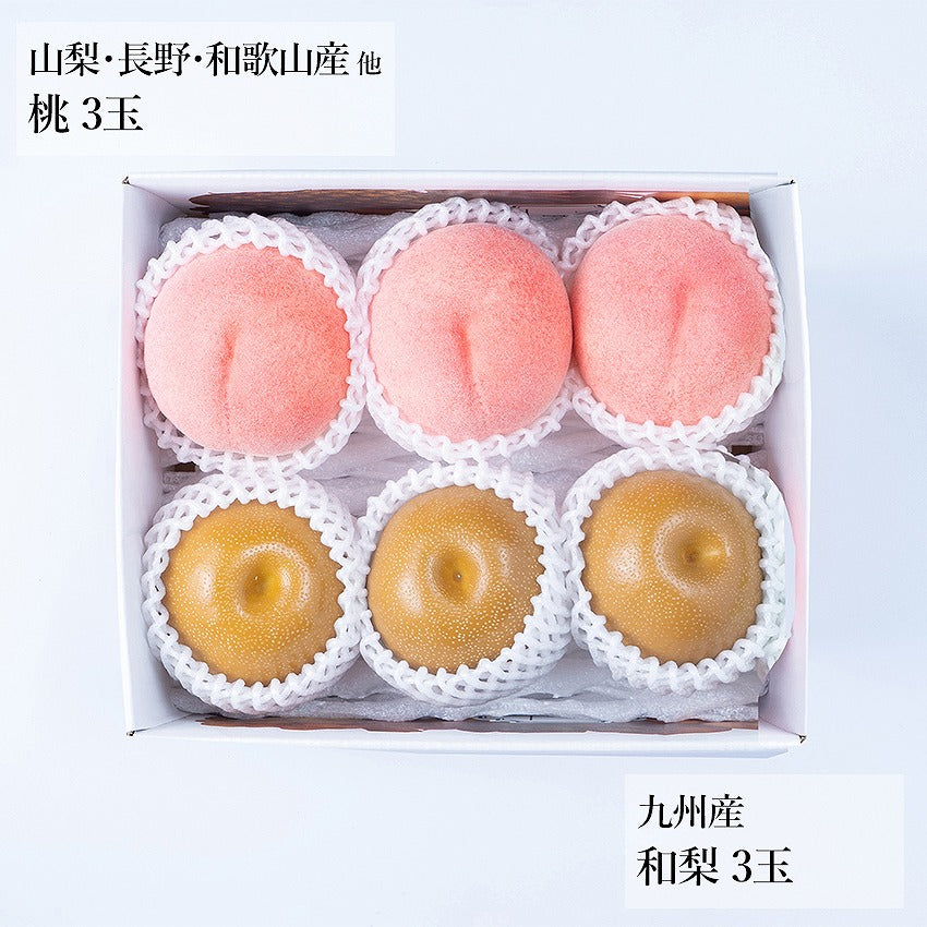 【予約販売】旬のフルーツセット N34