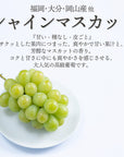 旬のフルーツセット F07