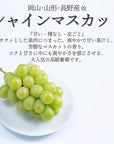 【予約販売】旬のフルーツセット F25