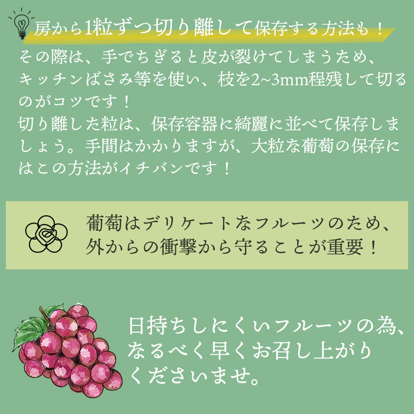 葡萄2種(クイーンルージュ・シャインマスカット)