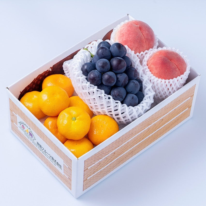 ギフト　お中元　贈答品　夏ギフト　みかん　ハウスみかん　ぶどう　ピオーネ　桃