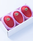 【予約販売】宮崎産 完熟マンゴー「太陽のタマゴ」