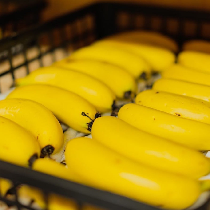 長崎産 バナナ なかなかバナナ | 南国フルーツオンラインストア