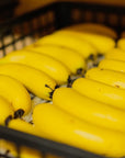 【産地直送】長崎県島原産 バナナ 「なかなかバナナ」