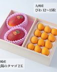 旬のフルーツセット H01 (木箱)