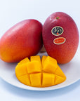 【予約販売】宮崎産 完熟マンゴー「太陽のタマゴ」